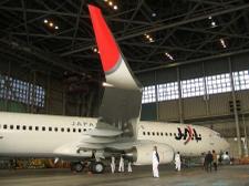 Jal_737800